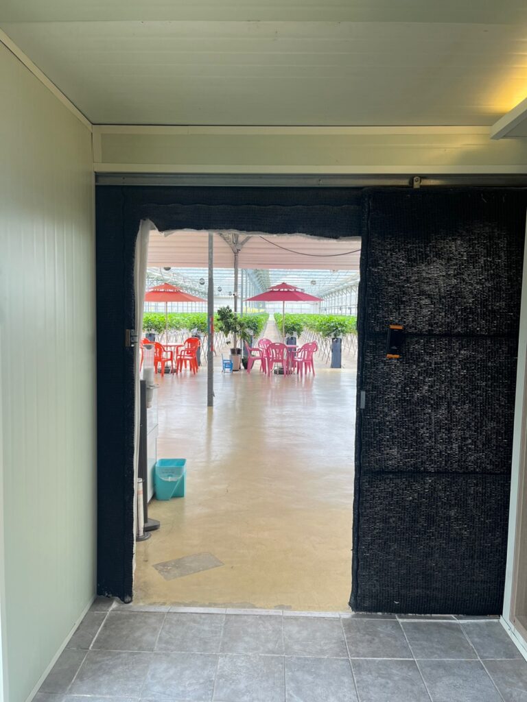 딸기체험 성연딸기 내부1