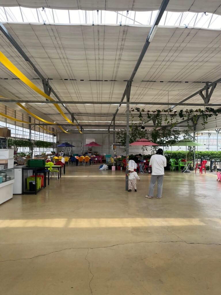 딸기체험 성연딸기 내부2