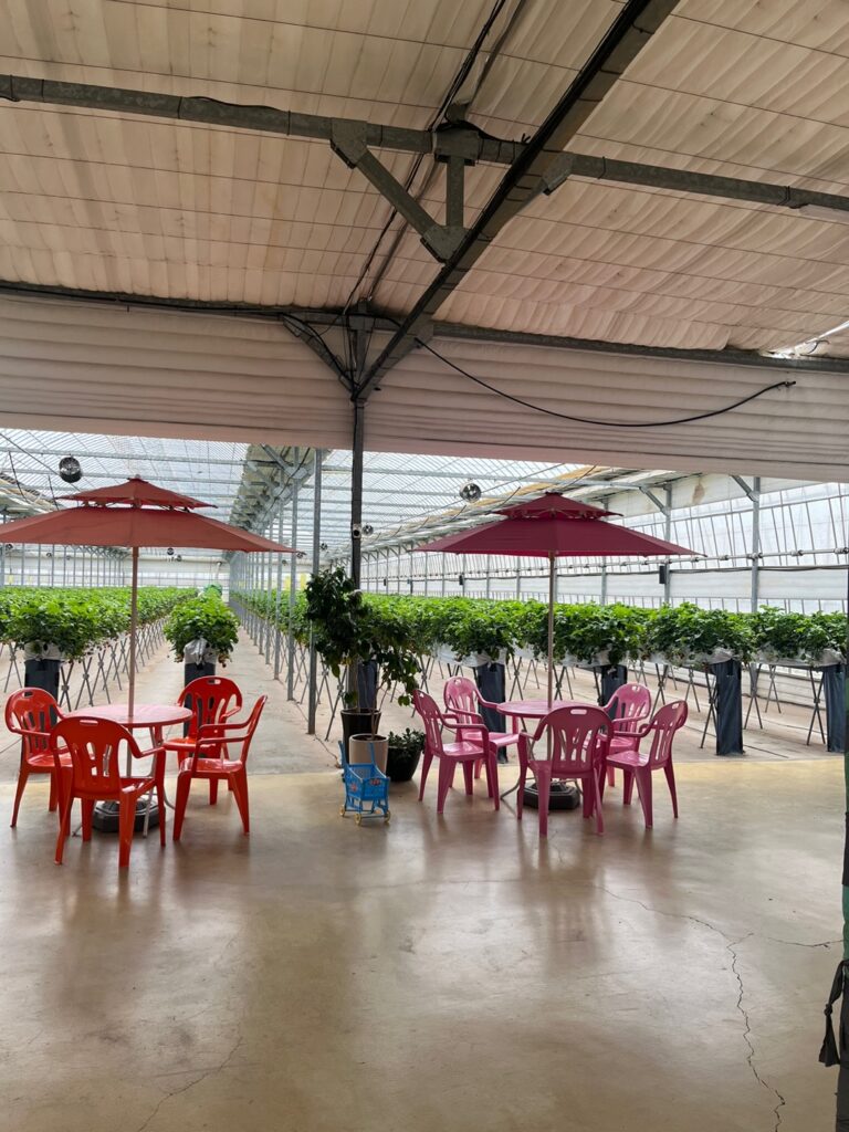 딸기체험 성연딸기 내부3