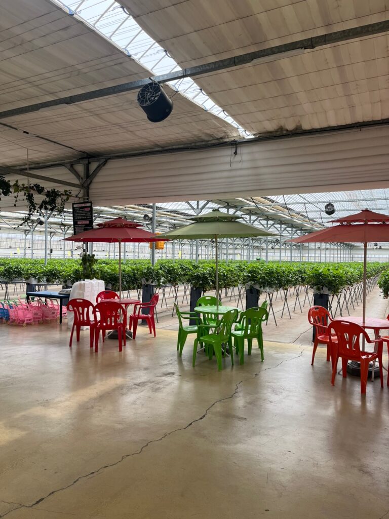 딸기체험 성연딸기 내부4