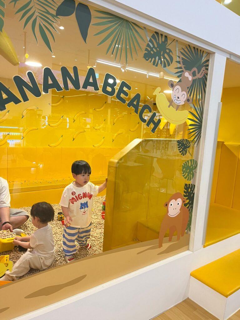 고고다이노 키즈카페 다산점 로키2