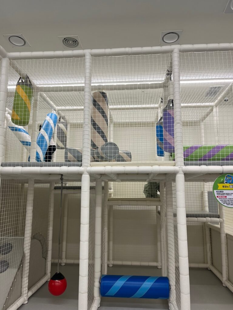 고고다이노 키즈카페 다산점 토모2