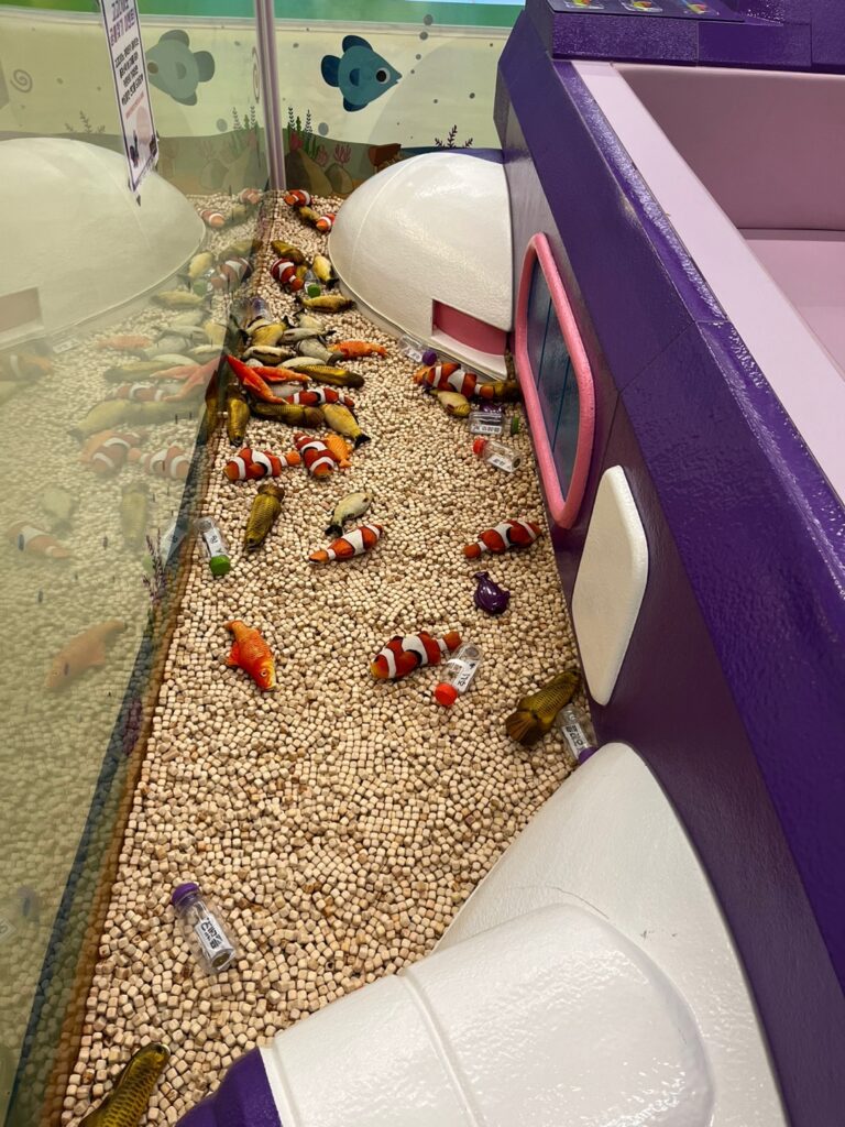 고고다이노 키즈카페 다산점 플레오3