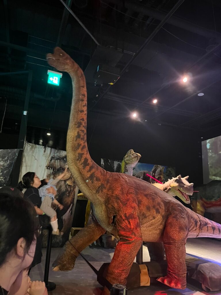 공룡월드 키즈카페 시흥점 하루 종일 공룡쇼4