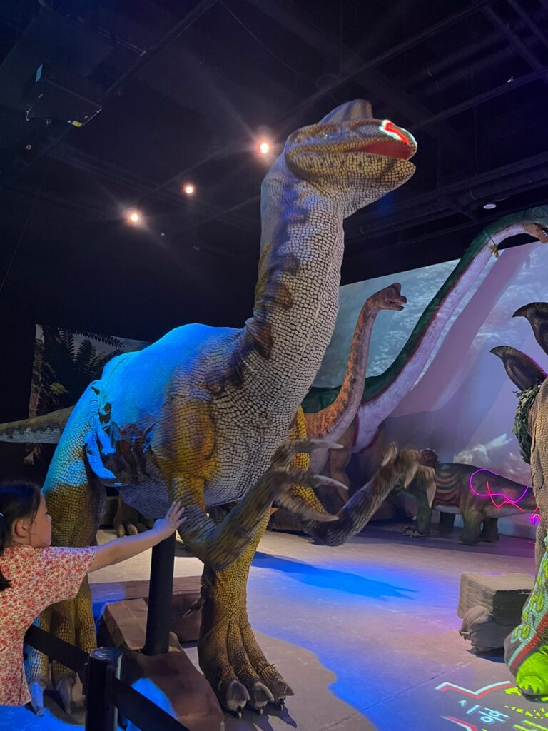공룡월드 키즈카페 시흥점 하루 종일 공룡쇼5