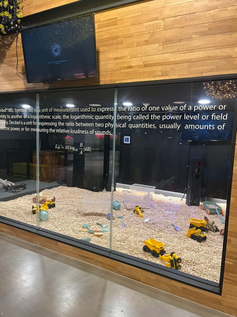 공룡월드 키즈카페 시흥점 편백나무2